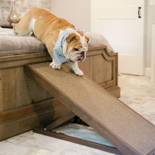 Large Dog and Pet ramps for beds, couches, and travel. High Quality made in Lancaster, Pa.