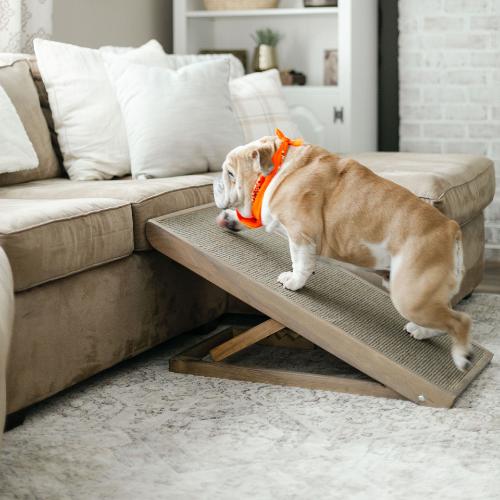 Sturdy Dog and Pet ramps for beds, couches, and travel. High Quality made in Lancaster, Pa.
