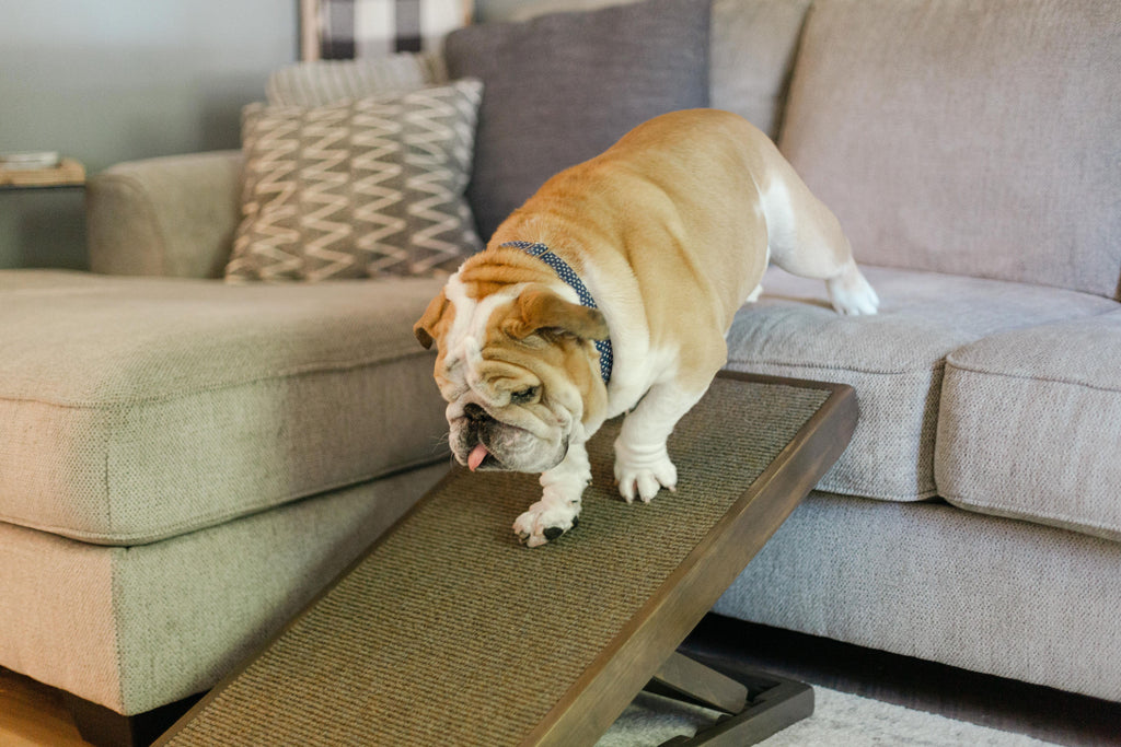 Rufus & George Handmade Pet Ramps for Dogs | Dog Ramps for your home or car